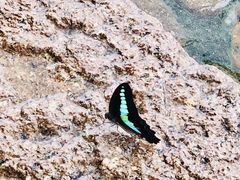 -楠溪江风景名胜区