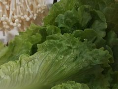 -广顺鑫猪肚鸡(经八路店)