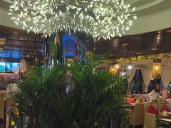 -润园四季椰子鸡火锅(海上世界店)