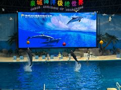-泉城欧乐堡海洋极地世界
