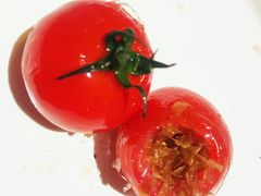 番茄脆菇沙拉-小大董·烤鸭(凤凰汇店)