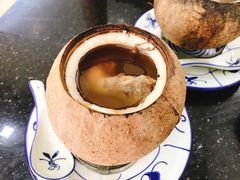 原只椰子炖鹌鹑-達揚原味燉品(文明路店)