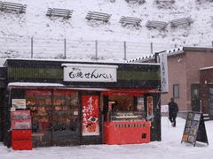 -小樽运河广场(運河プラザ)