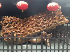 -龙达温泉生态城