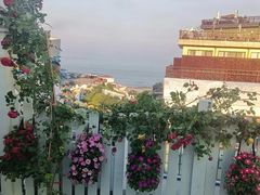 -海合安青岛极地海洋公园