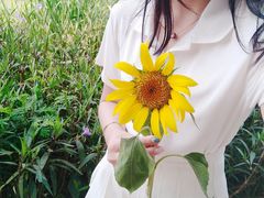 -光明小镇欢乐田园