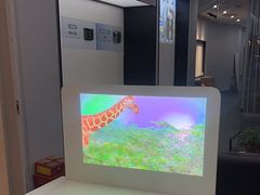 -XGIMI极米投影(壹方城店)
