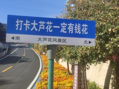 -大芦花风景区