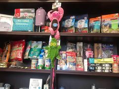 -宠爱国际动物医院·疑难骨科·心肾内科·皮肤科(太阳宫店)