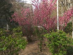 -辽宁大学(崇山校区)