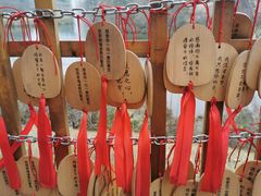 -黄龙溪欢乐田园