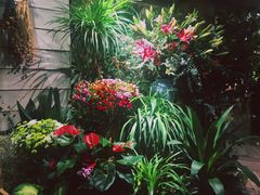-春暖花开(西溪店)