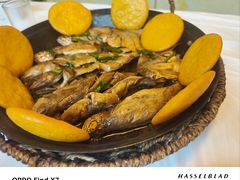 -宾朋海鲜饭庄(兴海路店)