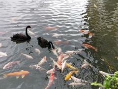 -茵特拉根酒店·西餐厅