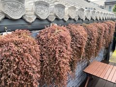 -苦尽酒馆·川菜(鼓楼店)