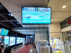 -奥冠体育华师附中恒温游泳馆