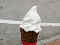 -富豪雪糕车流动点(尖沙咀店)