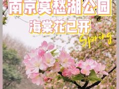 -莫愁湖公园