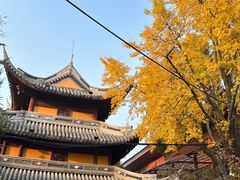 -龙华寺