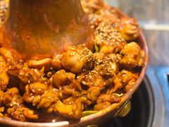 -刘记光大火锅鸡(北行店)