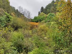 -首阳山景区