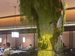 -阿露佳·舌尖上的安吉菜