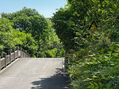 -梁鸿国家湿地公园