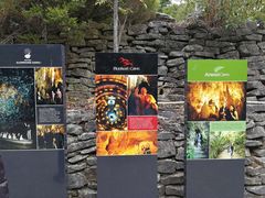 -怀托摩萤火虫洞