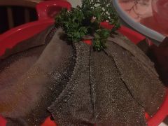 -二荆条·城市森林火锅旗舰店