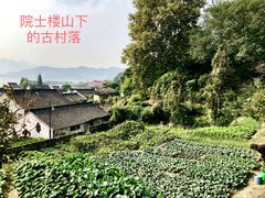 -东钱湖旅游度假区