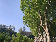 -四川大学(望江校区)