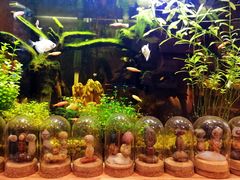 -Rabbit Cafe私房西餐甜点咖啡(栖霞路店)