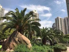 -苏州河梦清园环保主题公园