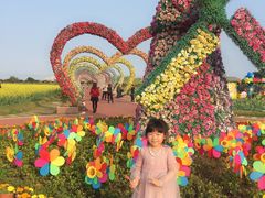 -迪茵湖田家舍生态农场