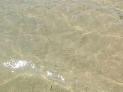 景点-东郊椰林