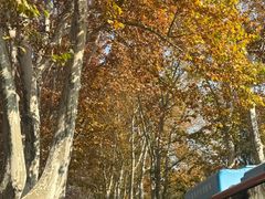 -南京维景国际大酒店(南京博物院店)