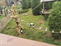 -大连森林动物园