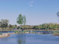 -大兴滨河森林公园