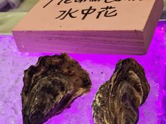 -LONG BAR 廊吧(外滩华尔道夫酒店)