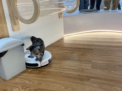 -COLOR PETS 撸猫馆·购猫·猫咖(长风大悦城店)