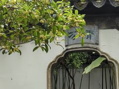 -秋霞圃