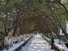 -烟台山景区