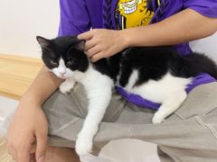 -李小姐の猫咖啡馆(五角场店)