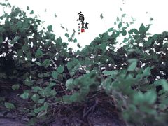 -乌镇西栅景区-月老庙