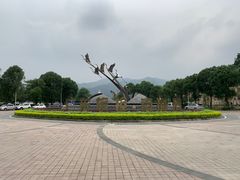 -南海湾森林生态园
