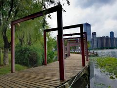 -天鹅湖体育公园