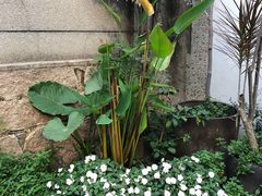 -厦门良筑精品酒店(厦门中山路店)