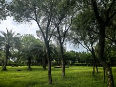 -飞来湖湿地公园