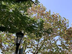 -八大关景区