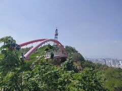 -金鸡山公园